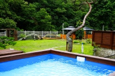 더큐브 애견풀빌라