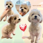 미스터멍