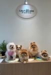 라우프독
