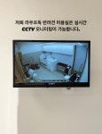 라우프독