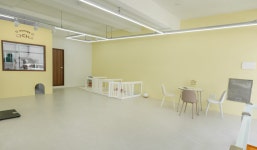 다다네 반려견미용실