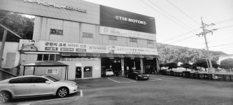 티에스이 모터스