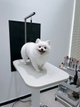 플러플리 FLUFFLY