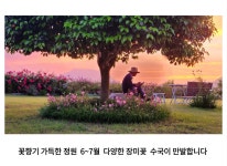 해사랑길 민박