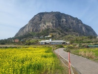 해령당 소하선사 의정부점집