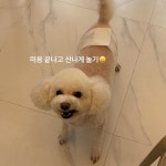 미니멍살롱