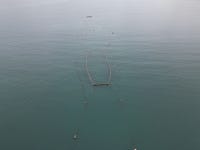 백운수산