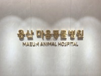 용산마음동물병원