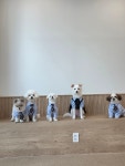 취향저견