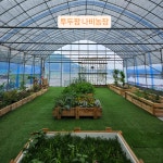 투두팜나비농장