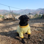 한이웃