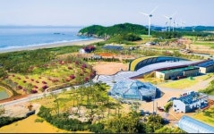 해사랑길 민박