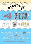 멍더가든 애견유치원