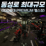 레드짐 동성로점