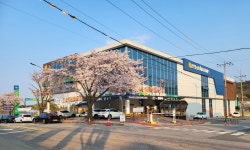 하나로마트 삼척농협이사부점