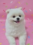 멍테일즈