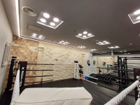 K복싱FIT