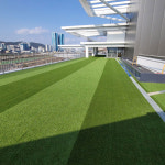 에스시엠 인조잔디