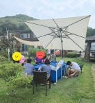지올리브