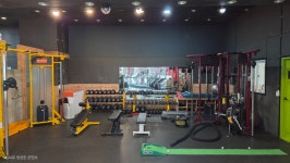 팀바디피트니스