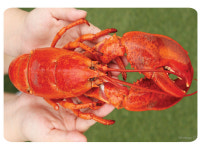 라봉크랩 낙산점