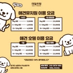 데일리멍 애견유치원, 애견호텔