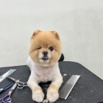 멍구르르
