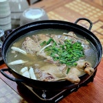 오리박사