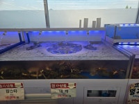 농축산식자재마트