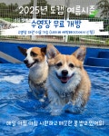 도그캠프 김포점 애견호텔 애견유치원 애견카페
