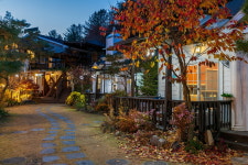 마이웨이 애견펜션