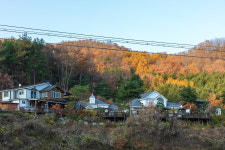 마이웨이 애견펜션