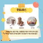 프렌즈도그 호텔 광주 서구점