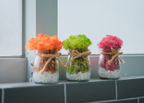 우도바다길가집