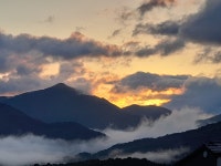 숲속빨간벽돌집