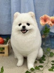 몽개구름