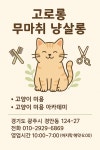 고로롱무마취냥살롱