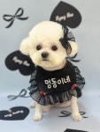 멍동이네