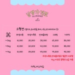 디반식스