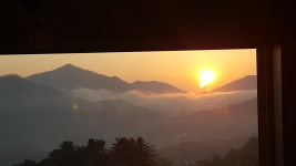 숲속빨간벽돌집