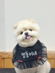 멍동이네