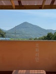 호화리안