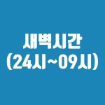 강남파티룸 캠프라운지 포레스트
