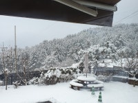 숲속빨간벽돌집