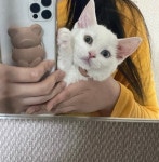댕천탕