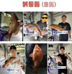 뚜루실내바다낚시터 천안점