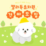 켈리독 강남 애견호텔 애견유치원