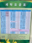 현대 베스트 세탁