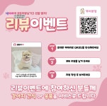 개이쁘댕 애견미용실