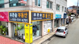 푸른숲부동산공인중개사사무소